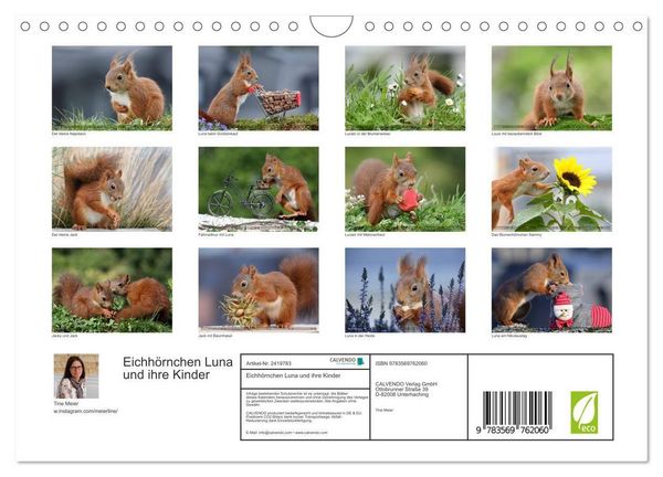 Produktbild: Eichh&ouml;rnchen Luna und ihre Kinder (Wandkalender 2027 DIN A4 quer), CALVENDO Monatskalender