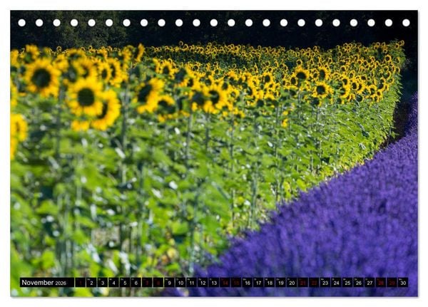 Produktbild: Provence im Rausch der Farben (Tischkalender 2026 DIN A5 quer), CALVENDO Monatskalender