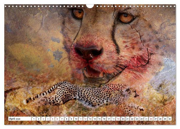 Produktbild: Emotionale Momente: African Dreams (Wandkalender 2026 DIN A3 quer), CALVENDO Monatskalender
