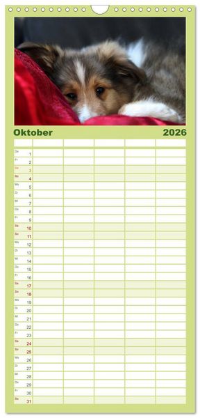 Produktbild: Familienplaner 2026 - Shelties 2026 mit 5 Spalten (Wandkalender, 21 x 45 cm) CALVENDO