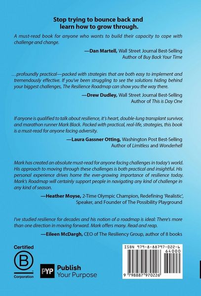 Produktbild: The Resilience Roadmap: 7 Guideposts for Charting Your Course in a Chaotic World