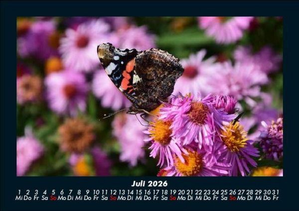 Produktbild: Blumenzauber 2026 Fotokalender DIN A5