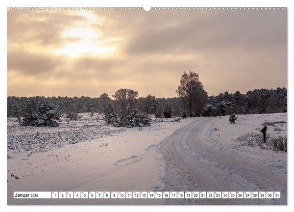 Produktbild: L&uuml;neburger Heide: Die Nordheide (hochwertiger Premium Wandkalender 2026 DIN A2 quer), Kunstdruck in Hochglanz