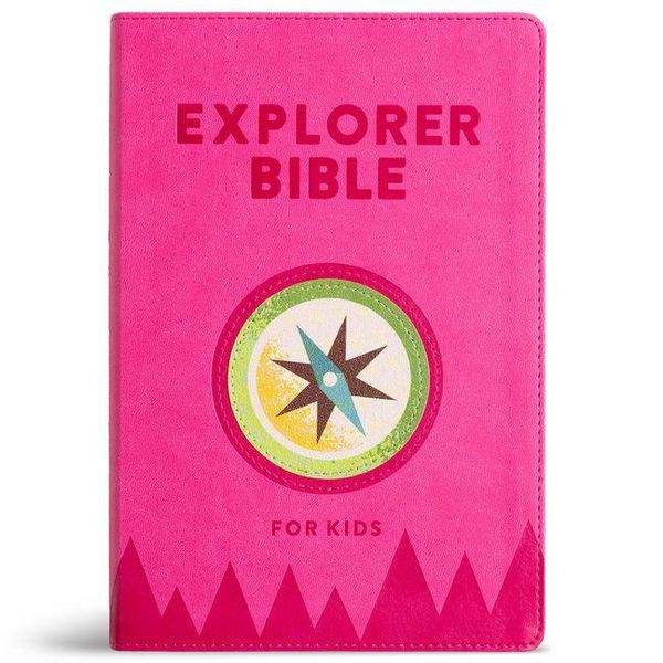 Produktbild: KJV Explorer Bible for Kids, Bubble Gum Leathertouch