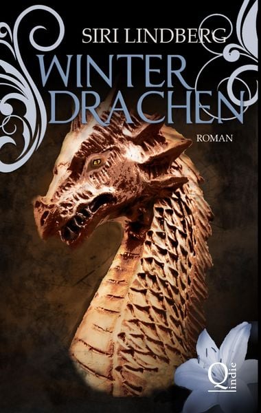Produktbild: Winterdrachen