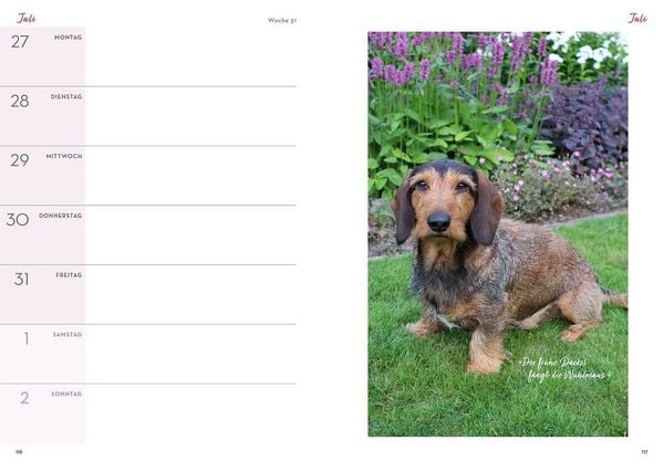Produktbild: Mit Herz & Gabel durch Katrins Gartenjahr 2026