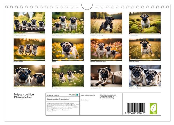 Produktbild: M&ouml;pse - quirlige Charmebolzen (Wandkalender 2026 DIN A4 quer), CALVENDO Monatskalender