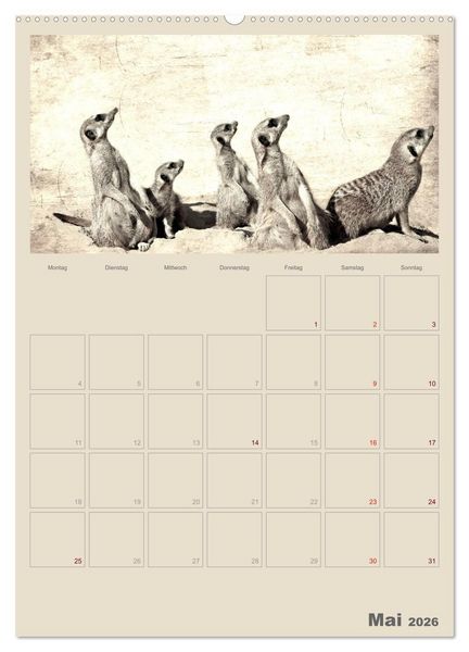 Produktbild: Lustige Erdm&auml;nnchen (hochwertiger Premium Wandkalender 2026 DIN A2 hoch), Kunstdruck in Hochglanz
