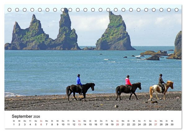 Produktbild: Die Pferde Islands - Ein Streifzug durch Island (Tischkalender 2026 DIN A5 quer), CALVENDO Monatskalender