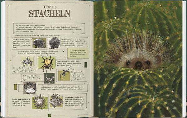 Produktbild: Tierisch sch&ouml;n