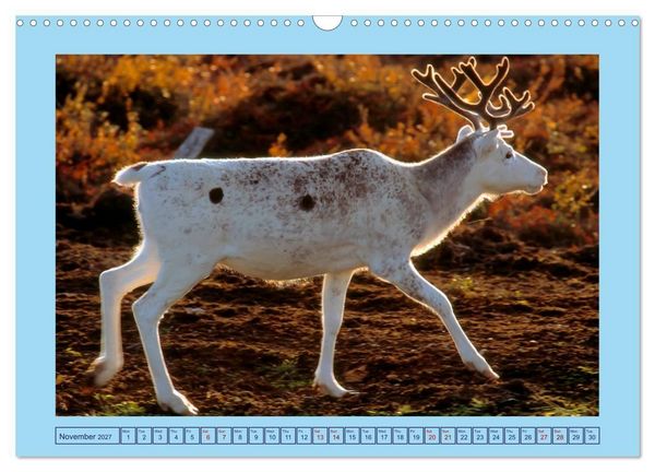 Produktbild: Fascinating Finland (Wall Calendar 2027 DIN A3 landscape), CALVENDO 12 Month Wall Calendar