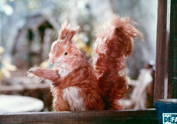 Produktbild: Rotk&auml;ppchen (1962) (Filmjuwelen / DEFA-M&auml;rchen)