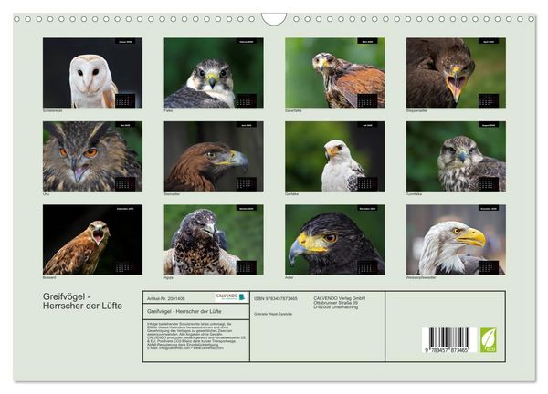 Produktbild: Greifv&ouml;gel - Herrscher der L&uuml;fte (Wandkalender 2026 DIN A3 quer), CALVENDO Monatskalender