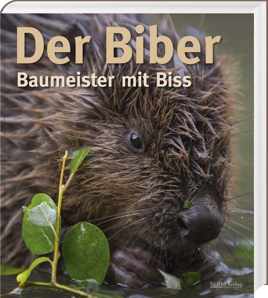 Produktbild: Der Biber