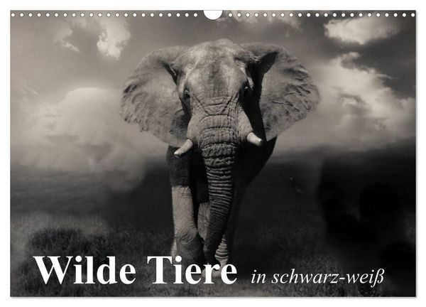 Produktbild: Wilde Tiere in schwarz-wei&szlig; (Wandkalender 2026 DIN A3 quer), CALVENDO Monatskalender