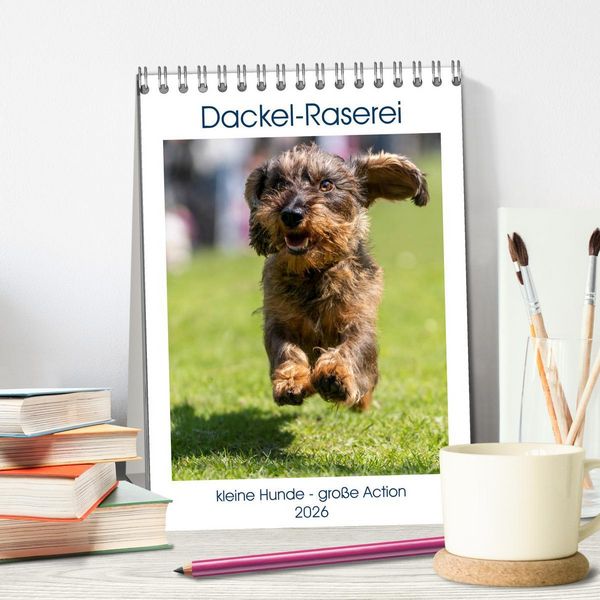 Produktbild: Dackel-Raserei (Tischkalender 2026 DIN A5 hoch), CALVENDO Monatskalender