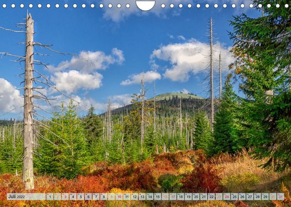 Produktbild: Bayer-Woid-Buidl (Wandkalender 2022 DIN A4 quer)