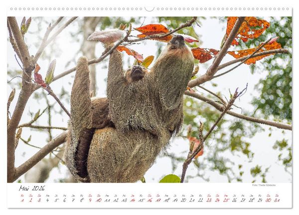 Produktbild: Natur pur, Costa Rica (hochwertiger Premium Wandkalender 2026 DIN A2 quer), Kunstdruck in Hochglanz