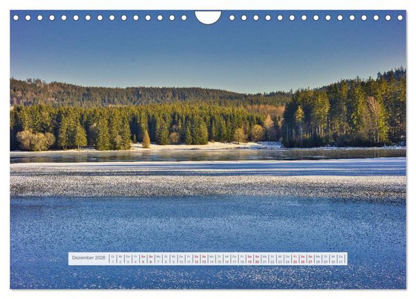 Produktbild: Die Vielfalt des Th&uuml;ringer Waldes (Wandkalender 2026 DIN A4 quer), CALVENDO Monatskalender