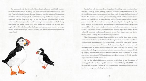 Produktbild: Save Our Species