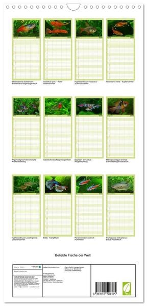 Produktbild: Familienplaner 2026 - Beliebte Fische der Welt mit 5 Spalten (Wandkalender, 21 x 45 cm) CALVENDO