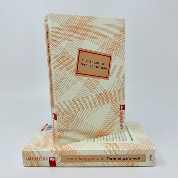 Produktbild: Trennungsroman