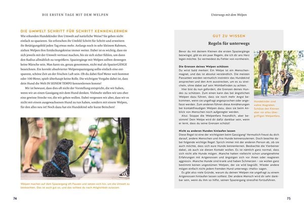 Produktbild: Der Welpen-Alltags-Helfer