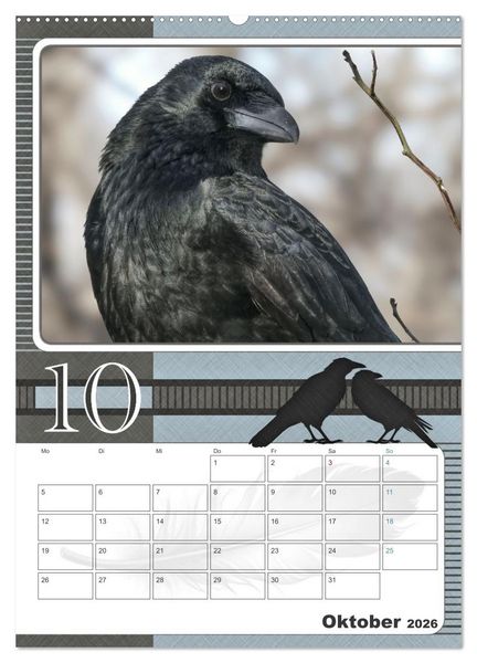Produktbild: Kr&auml;hen - Clever notiert! Mit K&ouml;pfchen durchs ganze Jahr (hochwertiger Premium Wandkalender 2026 DIN A2 hoch), Kunstdruck in Hochglanz