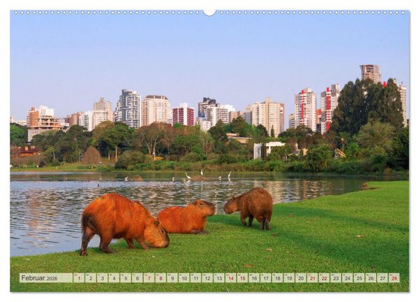 Produktbild: Brasilien - Zwischen Iguazu und Rio (Wandkalender 2026 DIN A2 quer), CALVENDO Monatskalender