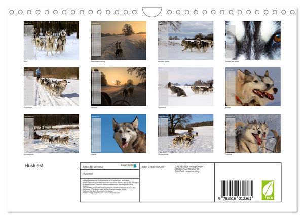 Produktbild: Huskies! (Wandkalender 2026 DIN A4 quer), CALVENDO Monatskalender
