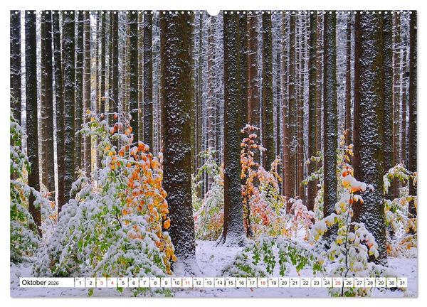 Produktbild: B&auml;ume sind Tr&auml;ume (hochwertiger Premium Wandkalender 2026 DIN A2 quer), Kunstdruck in Hochglanz