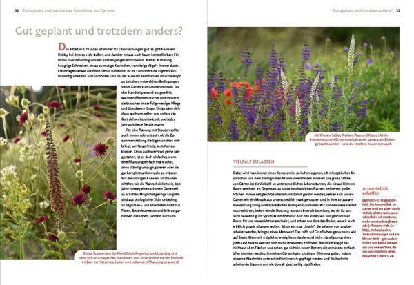 Produktbild: Echte Hitzeprofis