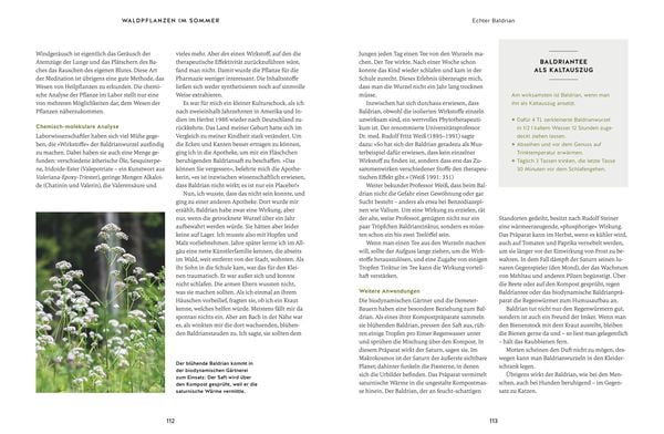 Produktbild: Meine Kr&auml;uter des Waldes