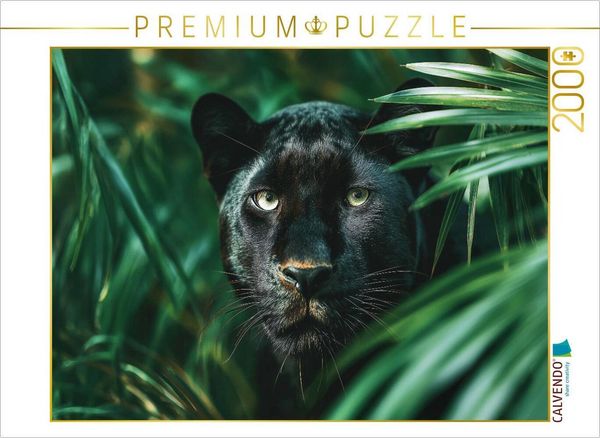 Produktbild: CALVENDO Puzzle Schwarzer Panther, die Nacht hat Augen | 2000 Teile Lege-Gr&ouml;&szlig;e 90x67cm Foto-Puzzle f&uuml;r gl&uuml;ckliche Stunden