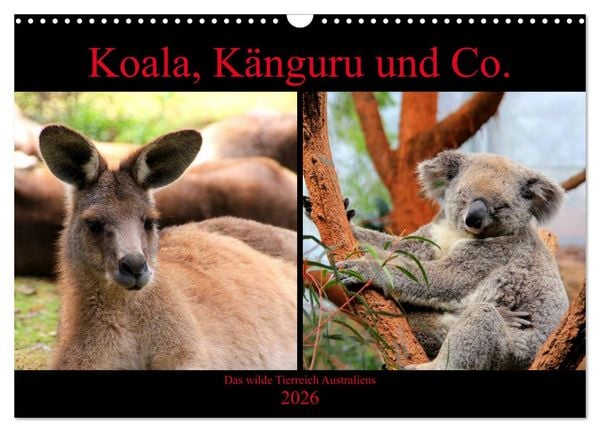 Produktbild: Koala, K&auml;nguru und Co. &ndash; Das wilde Tierreich Australiens (Wandkalender 2026 DIN A3 quer), CALVENDO Monatskalender