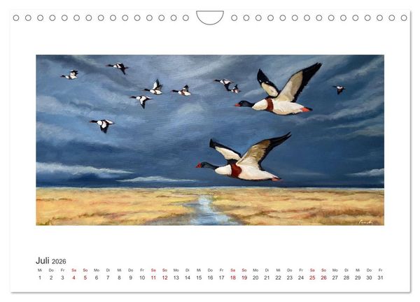 Produktbild: Auf leichten Schwingen - Zugv&ouml;gel (Wandkalender 2026 DIN A4 quer), CALVENDO Monatskalender