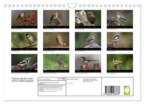 Produktbild: Popular garden birds of the united kingdom (Wall Calendar 2026 DIN A4 landscape), CALVENDO 12 Month Wall Calendar