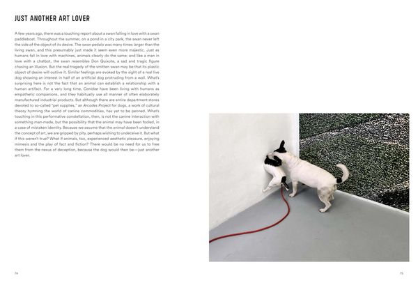 Produktbild: Rolf Walz. Blind Spot Bias