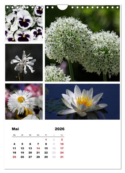 Produktbild: Bl&uuml;ten Collagen (Wandkalender 2026 DIN A4 hoch), CALVENDO Monatskalender