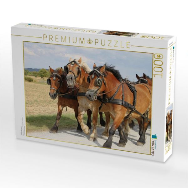 Produktbild: CALVENDO Puzzle Kaltblutgespann | 1000 Teile Lege-Gr&ouml;&szlig;e 64x48cm Foto-Puzzle f&uuml;r gl&uuml;ckliche Stunden