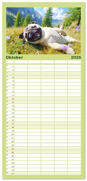 Produktbild: Familienplaner 2026 - Mops trifft Berglust. Fidele Gipfelst&uuml;rmer im H&ouml;henrausch mit 5 Spalten (Wandkalender, 21 x 45 cm) CALVENDO