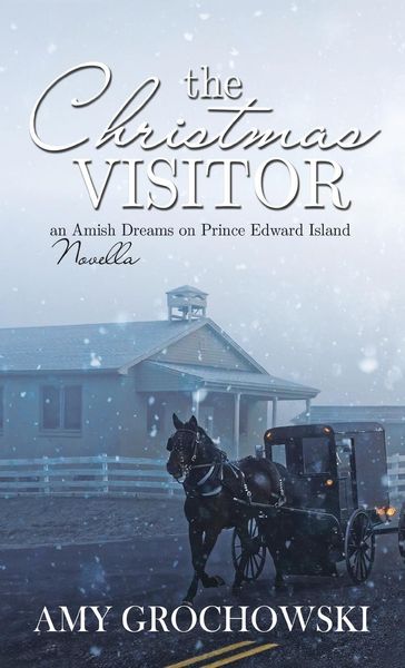 Produktbild: The Christmas Visitor