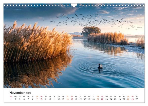 Produktbild: Naturzeit - Ein Jahr im Wandel (Wandkalender 2026 DIN A3 quer), CALVENDO Monatskalender
