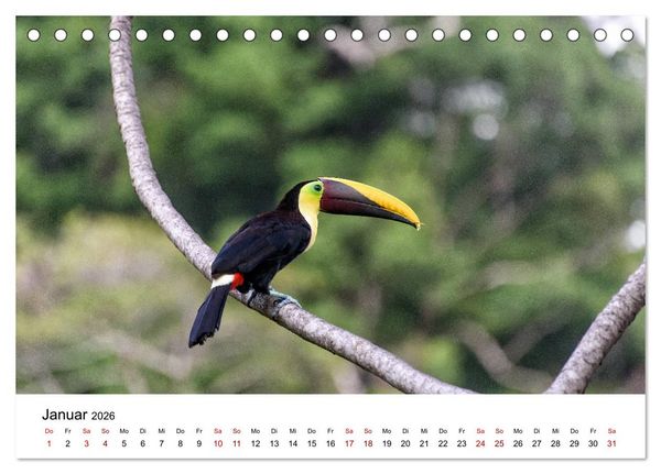 Produktbild: Costa Rica - das Naturparadies (Tischkalender 2026 DIN A5 quer), CALVENDO Monatskalender
