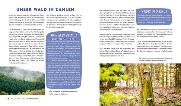 Produktbild: Forst erkl&auml;rt: Warum wir den Wald brauchen &ndash; und er uns