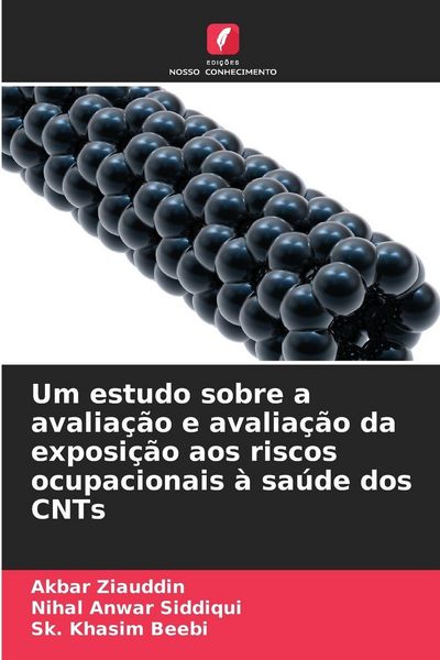 Produktbild: Um estudo sobre a avalia&ccedil;&atilde;o e avalia&ccedil;&atilde;o da exposi&ccedil;&atilde;o aos riscos ocupacionais &agrave; sa&uacute;de dos CNTs