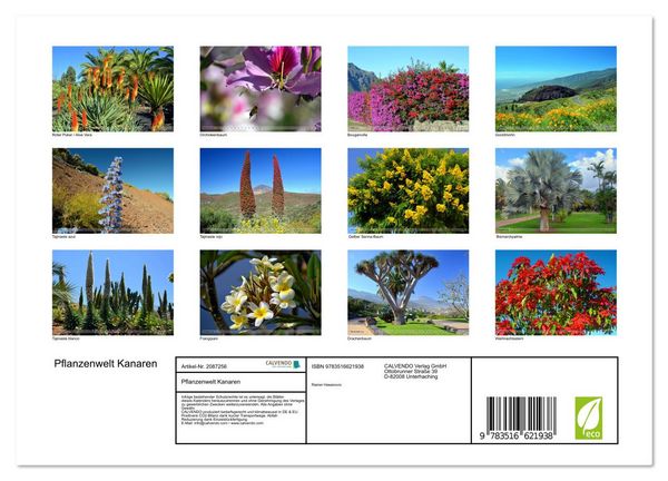 Produktbild: Pflanzenwelt Kanaren (Wandkalender 2026 DIN A4 quer), CALVENDO Monatskalender