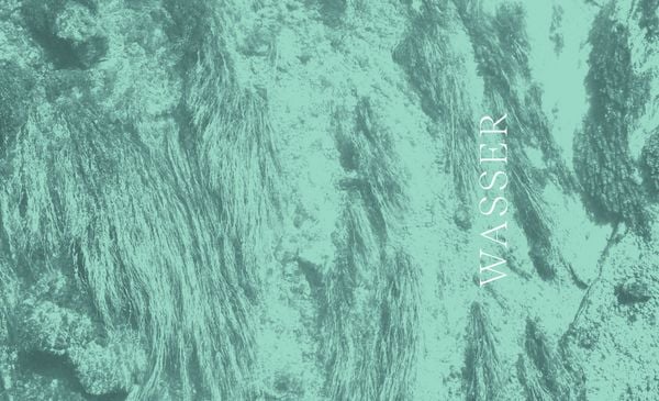 Produktbild: Wilder Wald