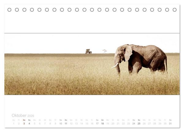 Produktbild: Serengeti Panorama (Tischkalender 2026 DIN A5 quer), CALVENDO Monatskalender