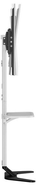 Produktbild: SpeaKa Professional SP-TVS-600 TV-Standfu&szlig; 94,0 cm (37") - 218,4 cm (86&rdquo;) Bodenst&auml;nder, Boden-Wand, H&ouml;henverstellbar